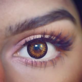 M204-Brown